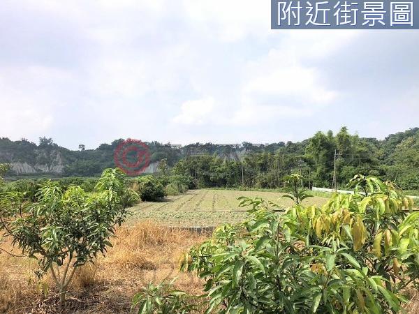 左鎮農地-1