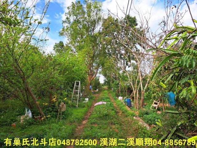 南投名間農地-3