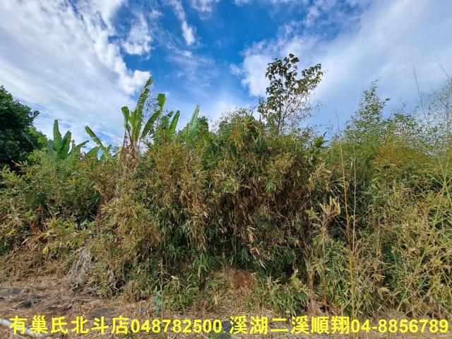 南投名間農地-9