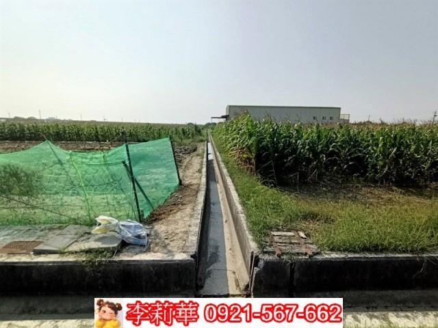 下營農地-10