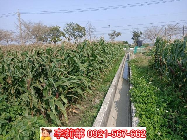 下營農地-11