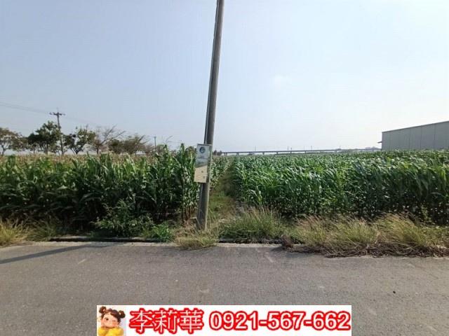 下營農地-6