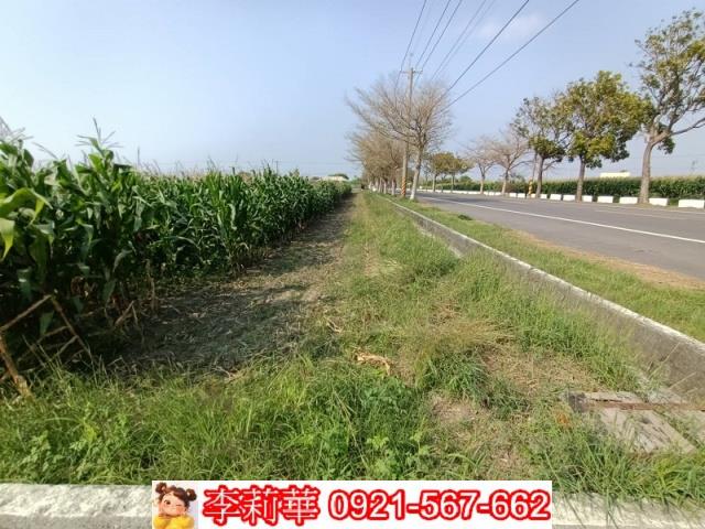 下營農地-8