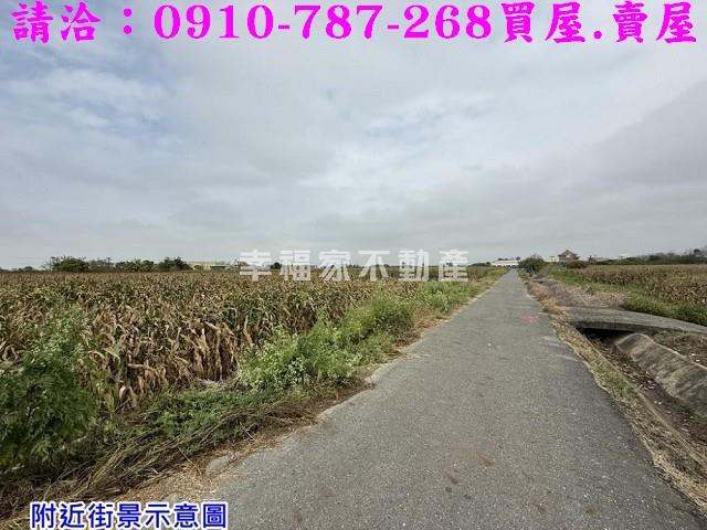 台南農地-12