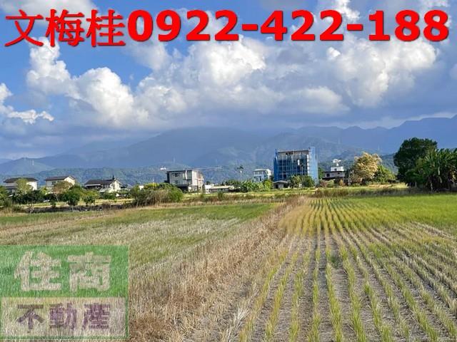宜蘭三星農地-4