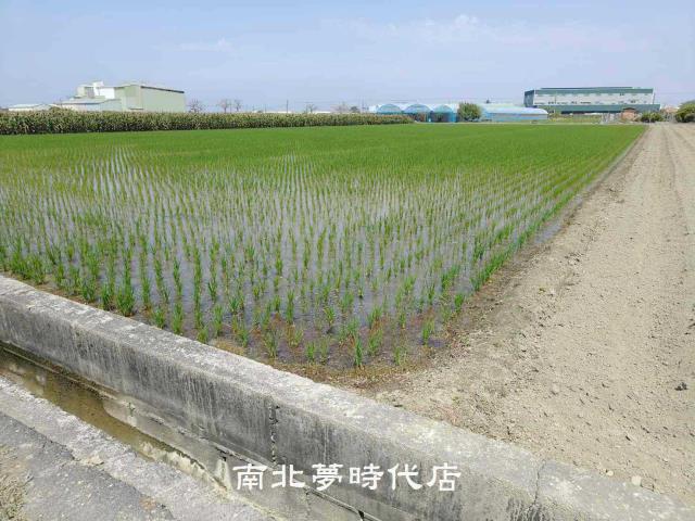 佳里農地-2
