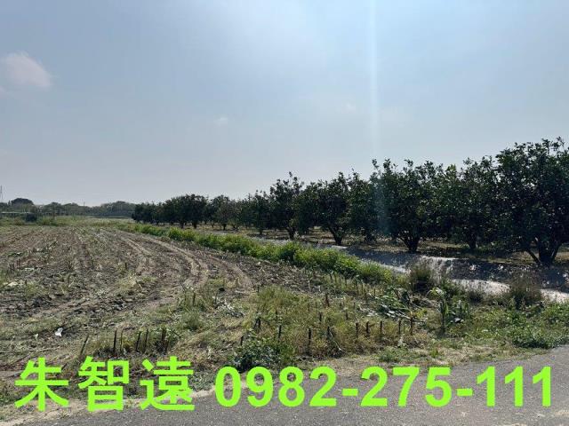 麻豆農地-8
