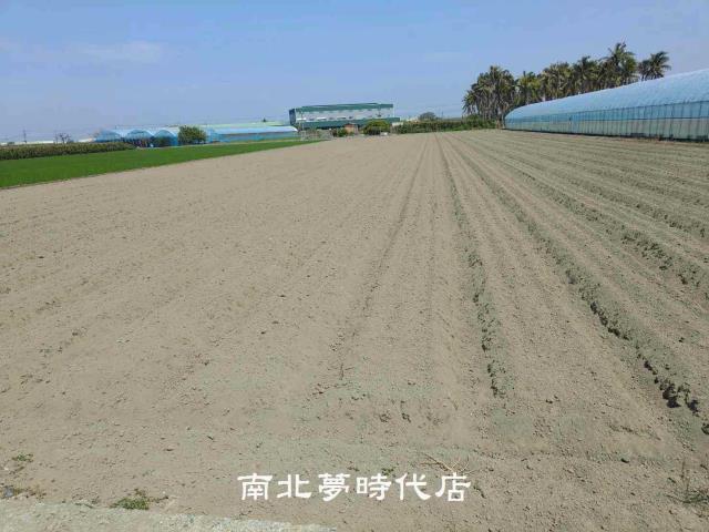 佳里農地-6