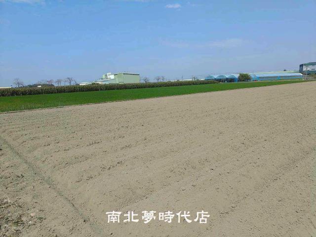 佳里農地-7