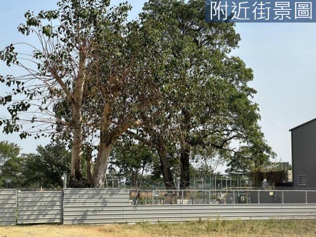 台南農地-6