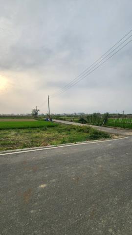 善化農地-10