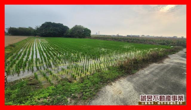 善化農地-4