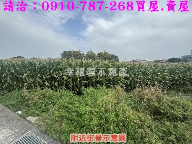 新營農地-11