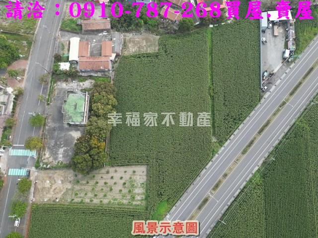 新營農地-5