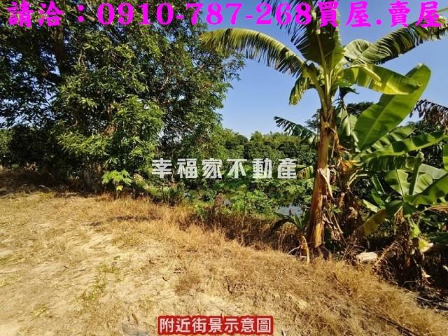 新化農地-10