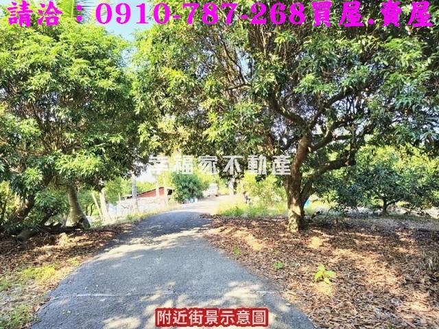新化農地-11