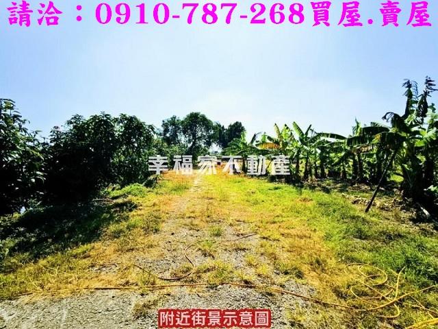 新化農地-12