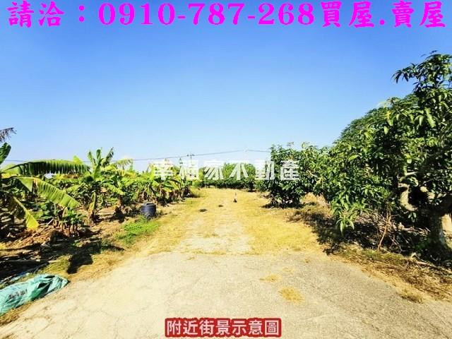 新化農地-2