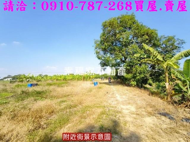 新化農地-3