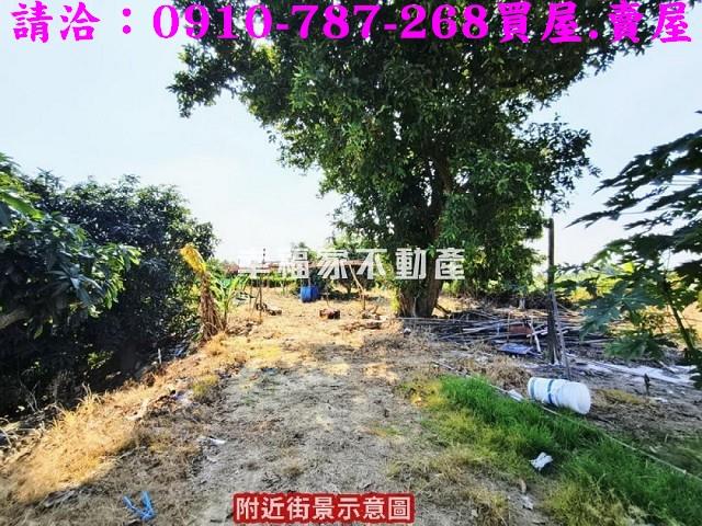 新化農地-8
