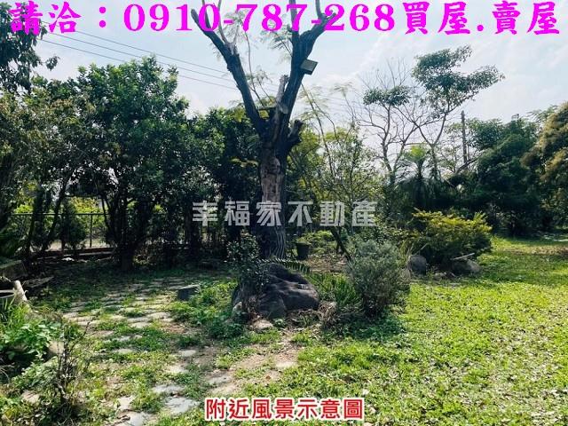 台南農地-10