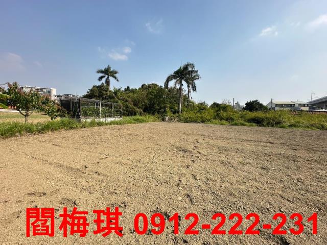 新市農地-8