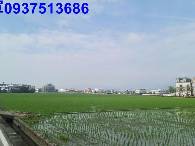 宜蘭壯圍農地-5