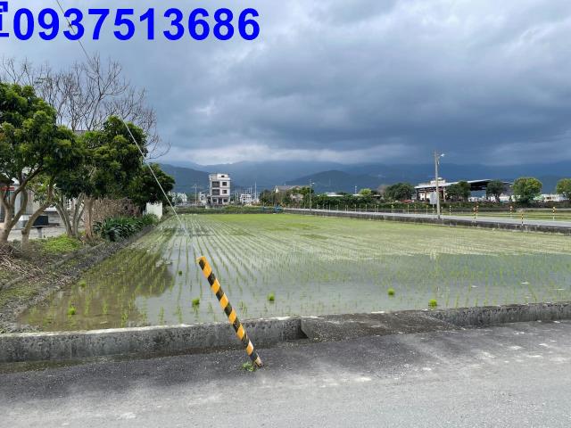 宜蘭宜蘭市農地-7