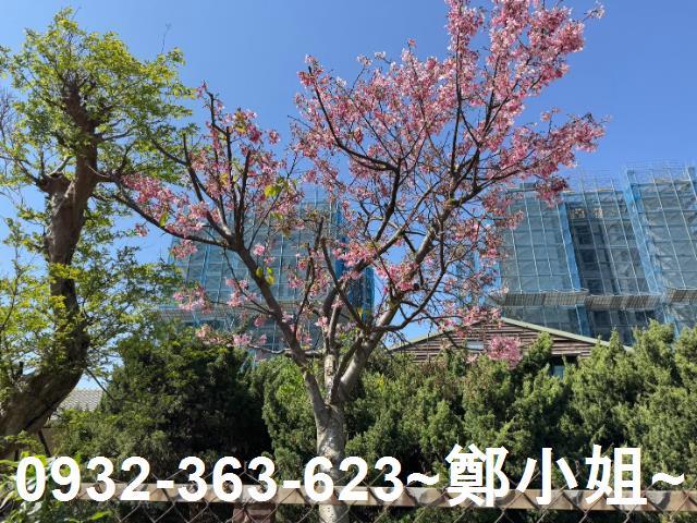 新北鶯歌建地-8