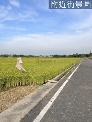台南六甲農地-11