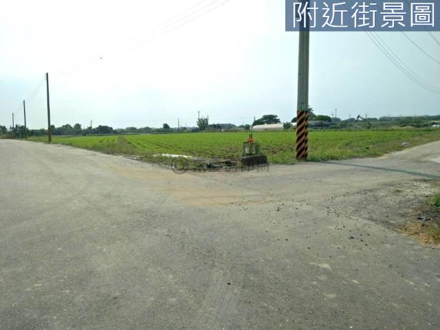 善化農地-13