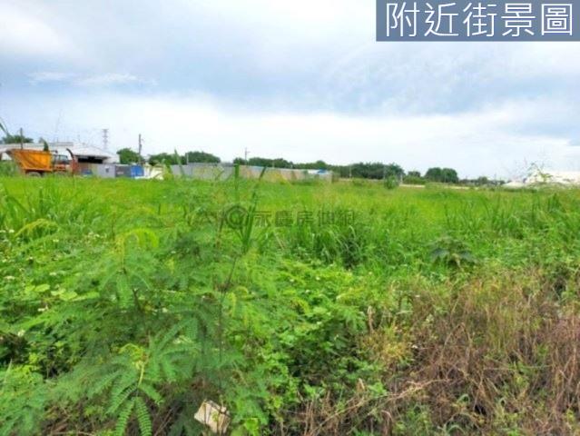 善化農地-6