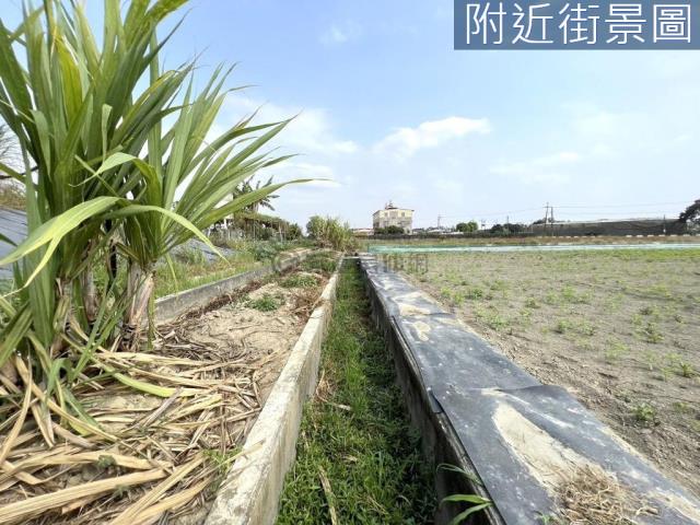 新化農地-10