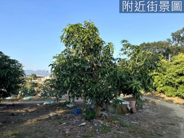 楠西農地-12