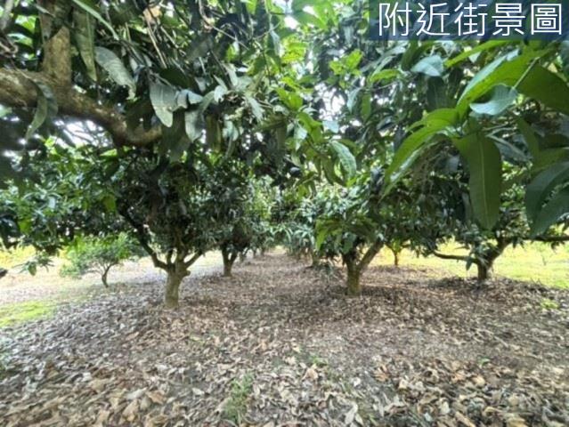 楠西農地-5