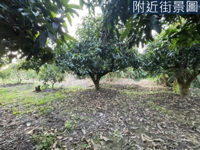 楠西農地-7