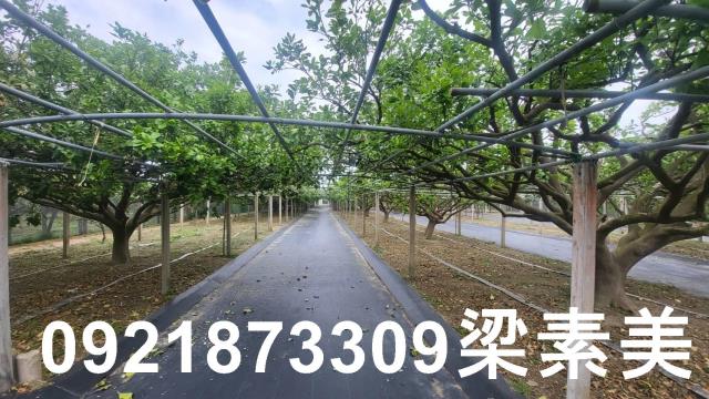 台南農地-2