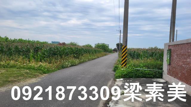台南農地-6