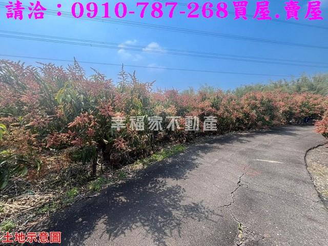 台南官田農地-3