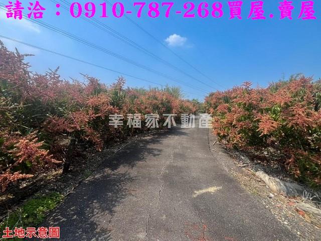 台南官田農地-4