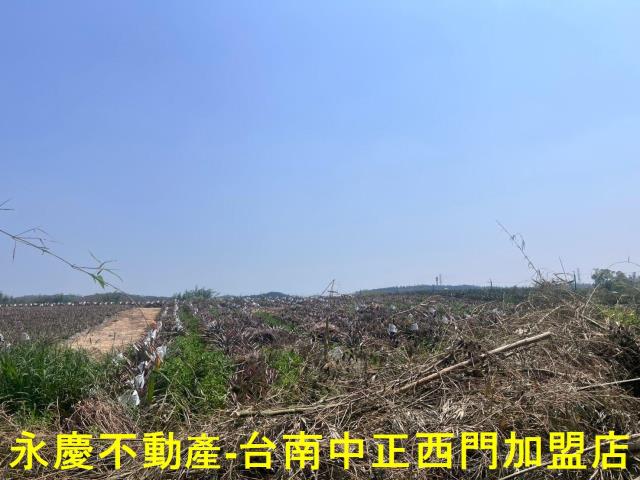 台南關廟農地-2