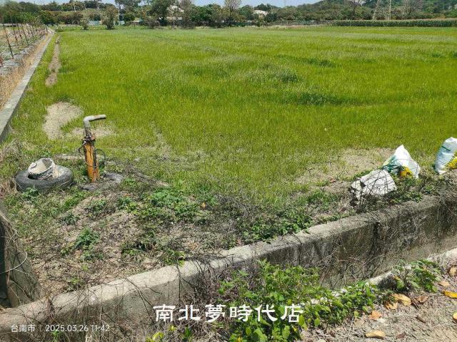 台南新化農地-9