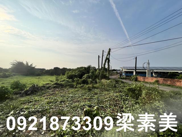 柳營農地-10