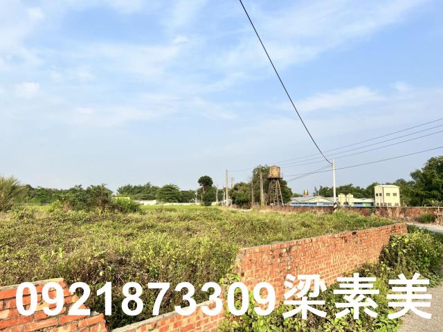 柳營農地-11