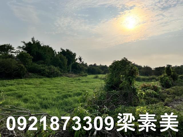 柳營農地-13