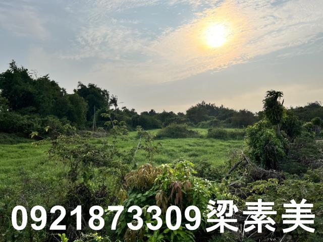 柳營農地-15