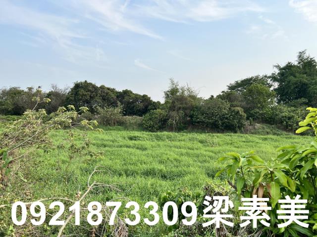 柳營農地-1