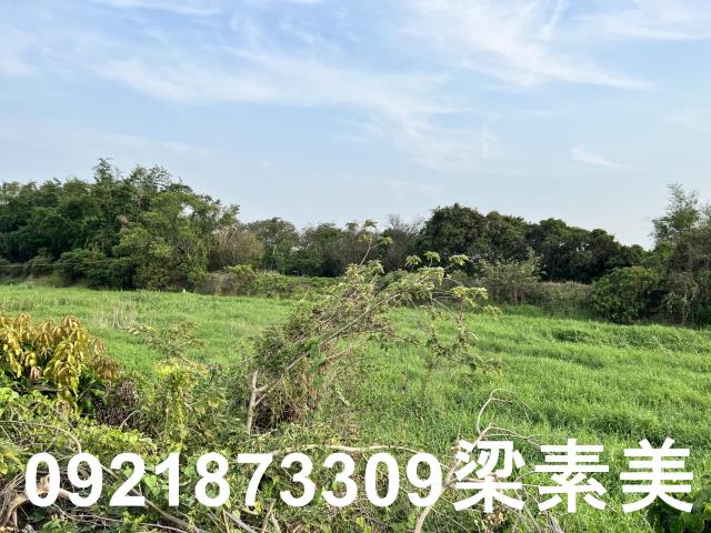 柳營農地-4