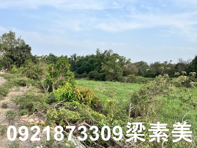 柳營農地-5