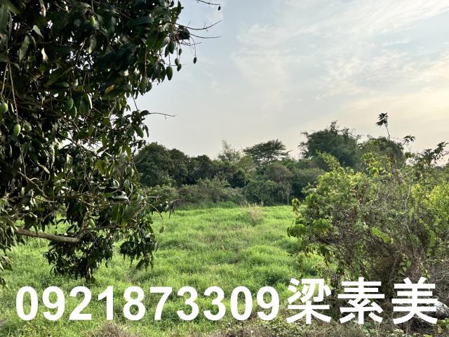 柳營農地-6